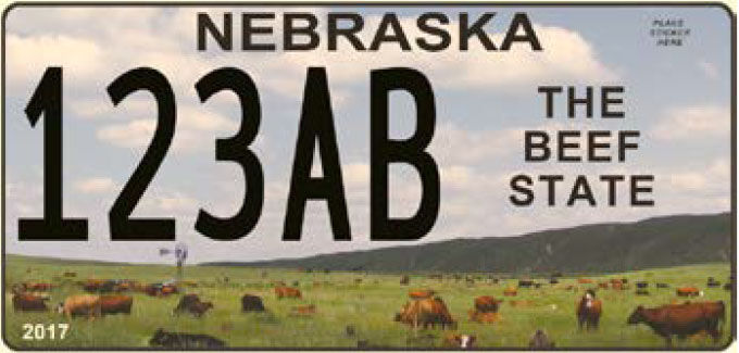 License Plates